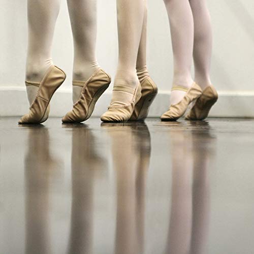 Greatmats Marley Dance Floor for Ballet Jazz Lyrical Dance Drill Team Competition...